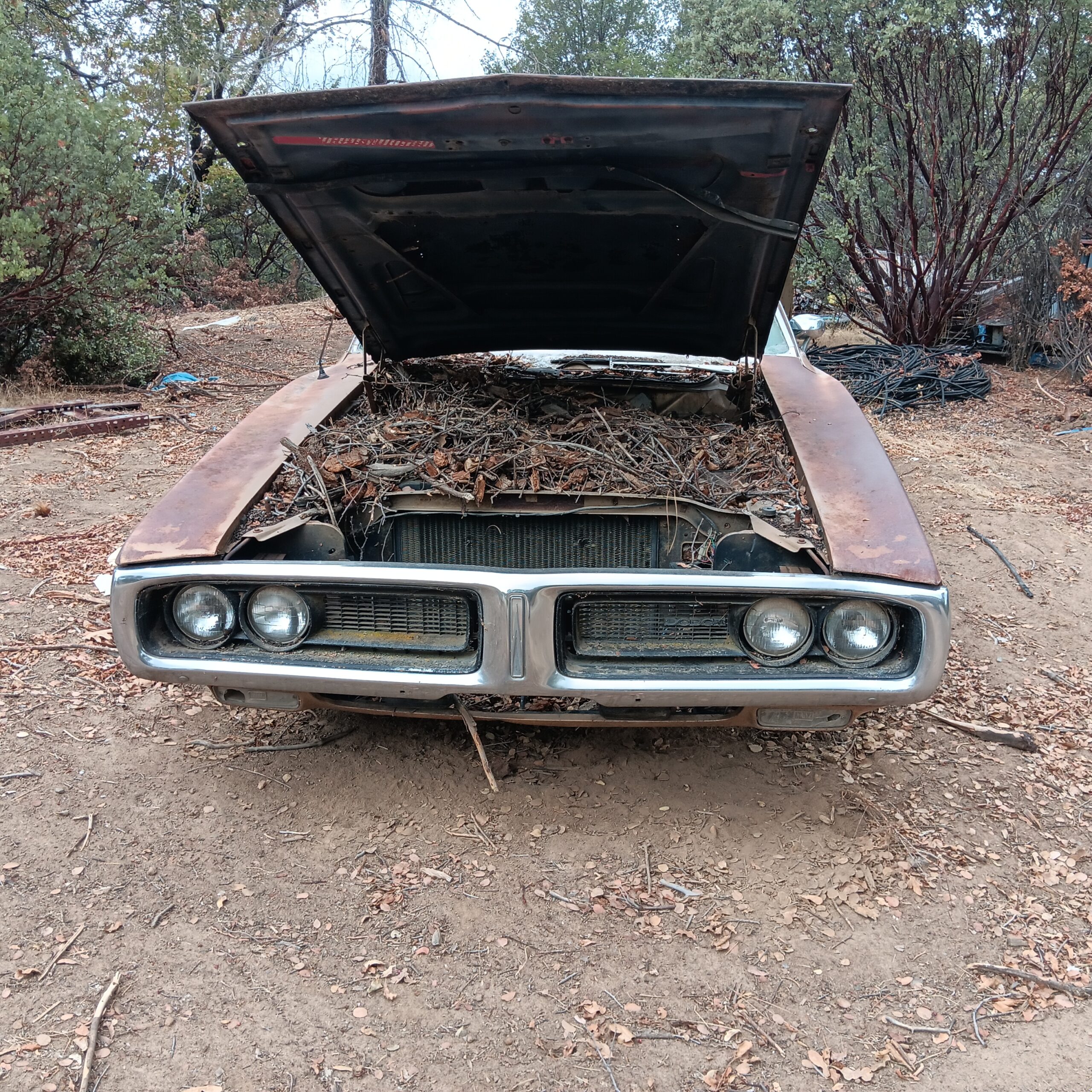 Classic Cars, Christmas and everything in between!